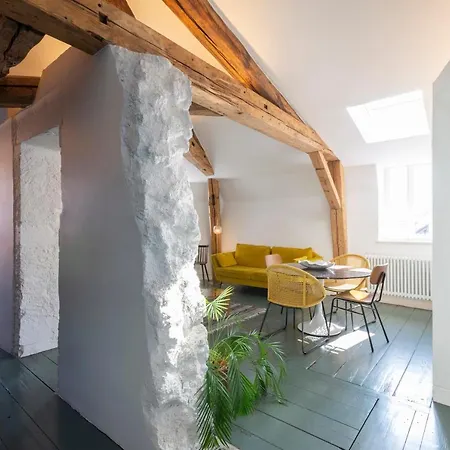 Le Grand Amerval - Joli Climatise Appartement Nancy
